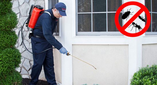 Karşıyaka Hamam Böceği İlaçlama böcek ilaçlama ve haşere kontrolü — ilaclama-tr.com